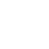Édition limitée 1998