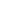 Édition limitée 1999