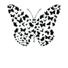 Papillon papillons insecte silhouette