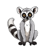 Ring-tailed lemur