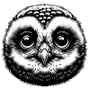 Owl Cute Animal Children