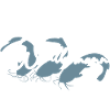 Sternzeichen Wallermann lustiger Wallerspruch Wels