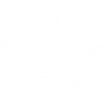 Chinese Dragon Head (White)