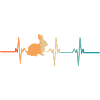 Rabbit heartbeat