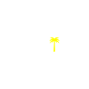Malle 2024