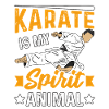 Karate is my Spirit Animal