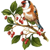 Bunter Vogel