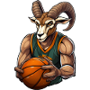 Steinbock Basketballer