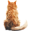 Manx