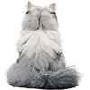 Chat persan