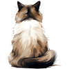 Birma-Katze