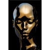 Golden Radiance of Sublimity