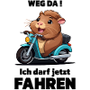 Motorrad Mofa Führerschein Bestanden