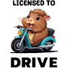 Driver's license passed