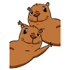 Capybara Wasserschwein