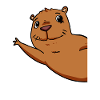 Capybara Wasserschwein