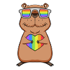 Capybara Capybara Rainbow