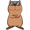 Capybara