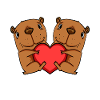 Capybara Capybara Heart Love