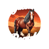 Kaltblüter Pferd Pferdeliebhaber Reiten