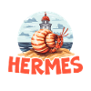 Cute hermit crab crab crustaceans