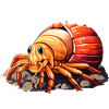 Cute Hermit Crab Crab Crustaceans