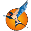 Swallows 2