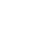 Sommerzeit ist Bauzeit