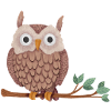 Owl / Tawny Owl