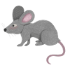 kleine Ratte