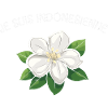 Je suis Indonésienne