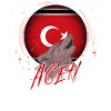 Aceh