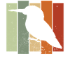 Kingfisher Retro Birdwatching Bird Watcher