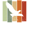 Falcon Retro Birdwatching Bird Watcher