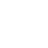 aux prochaine élections