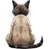 Siamese