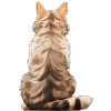Singapura