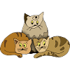 Cats