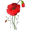 Fleur