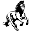 Friesian stallion galloping