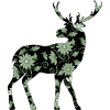 Hirsch