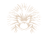 Porcupine