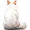Turkish Van