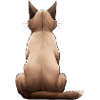 Tonkinese
