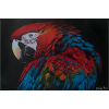 Parrot