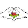Wales flag heart shape used