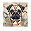 Polygon Pug