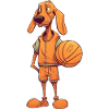 Basketball Dog