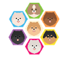 Süß Pomeranian Zwergspitz Hündchen