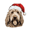 Otterhound chien Noël drôle Noël